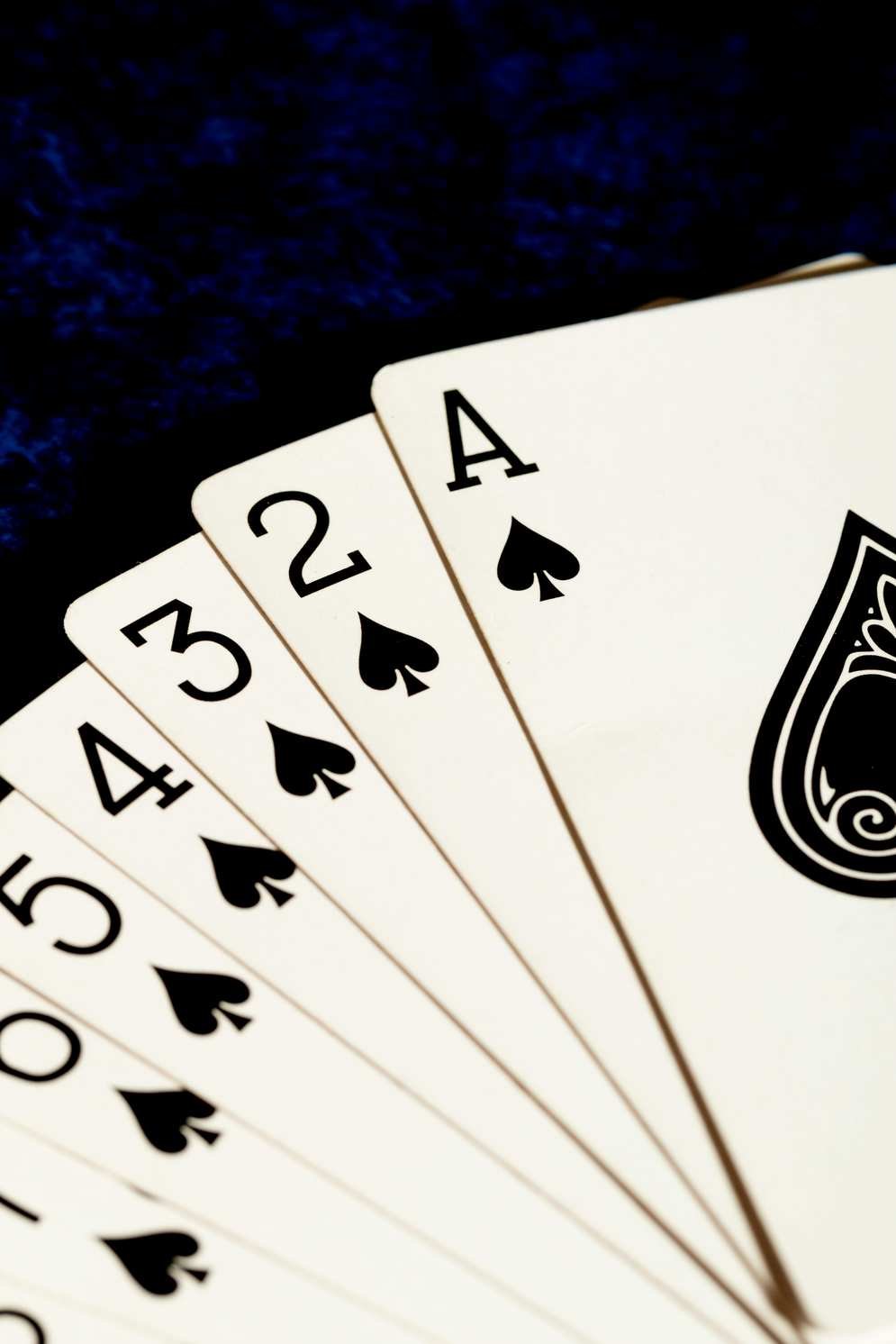 Luxury casino